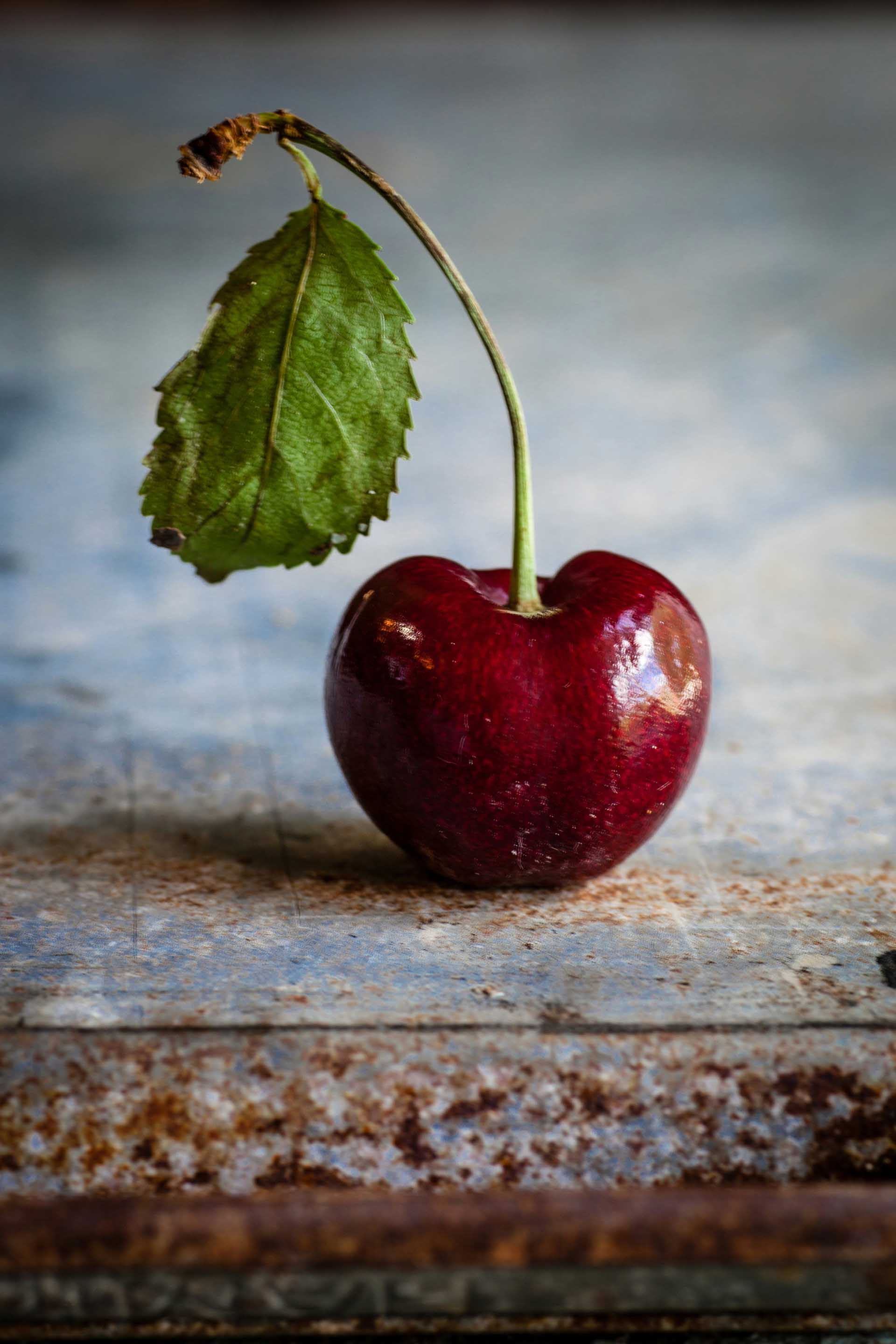 Platzhalter alt-Text