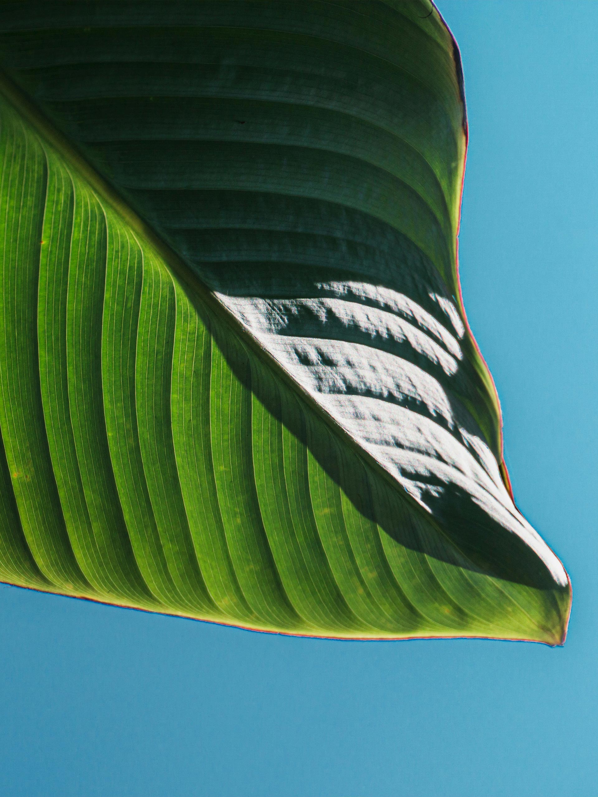 Platzhalter alt-Text