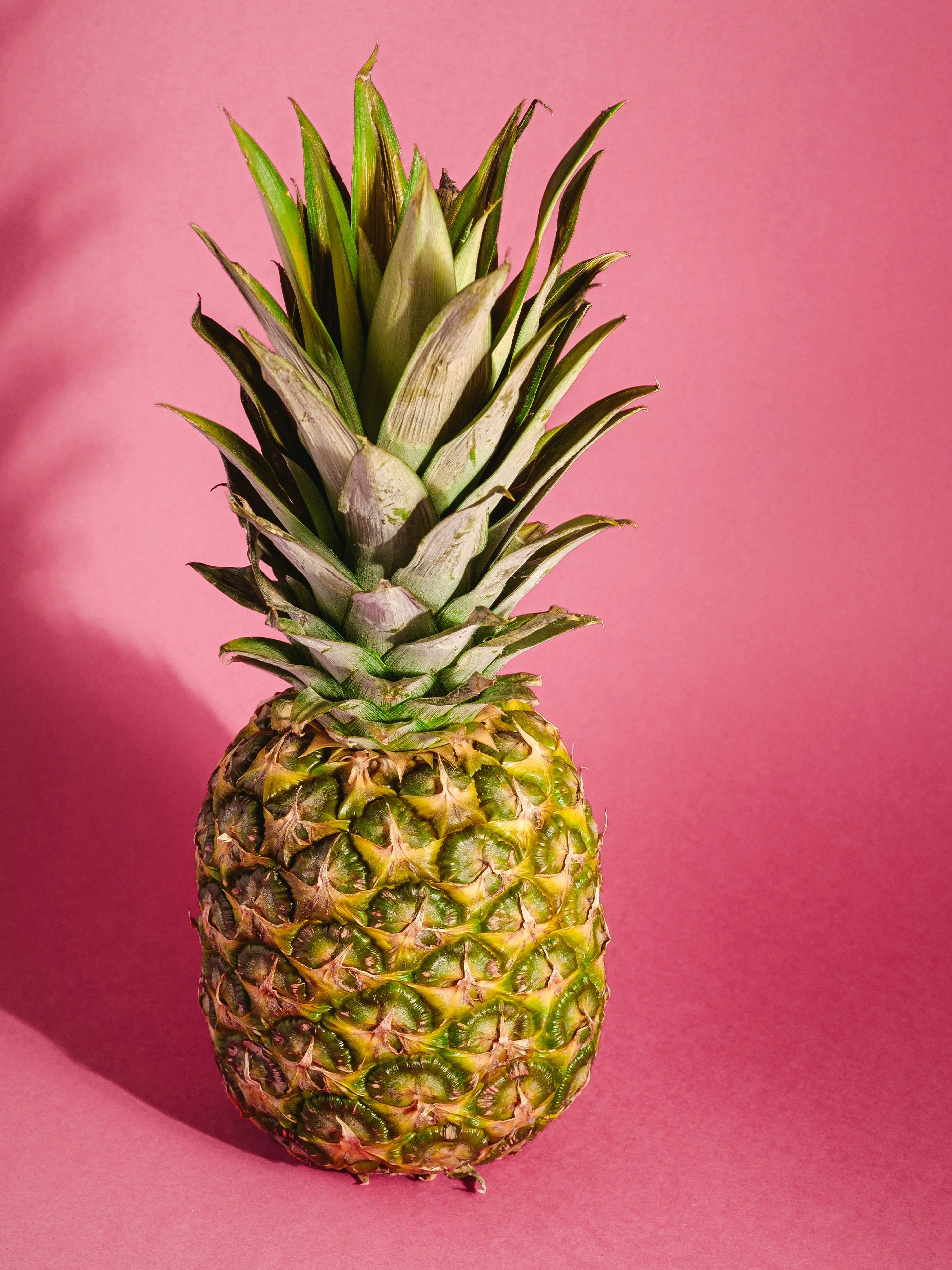 Platzhalter alt-Text